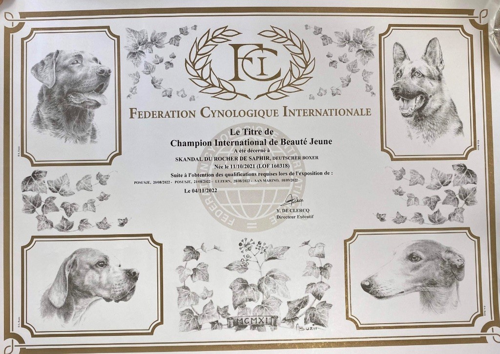 Expositions canines Skandal