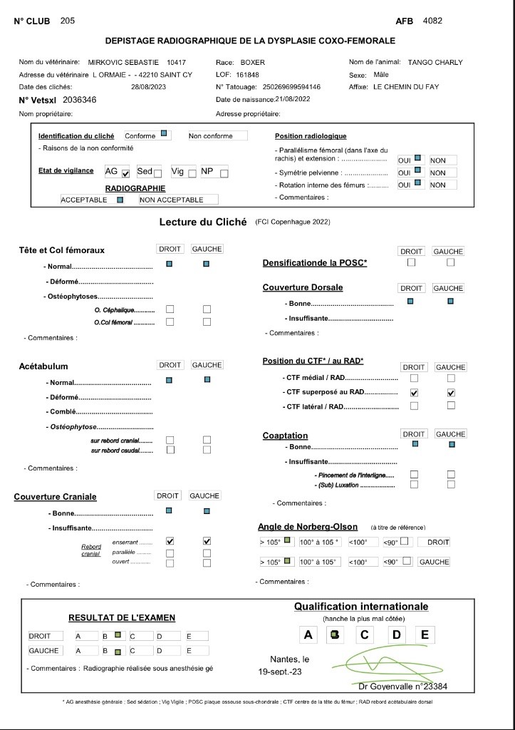 Résultats radio dysplasie